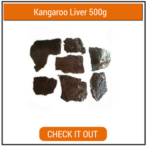 kangaroo-liver-500
