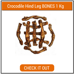 croc-hind-legs-1Kg