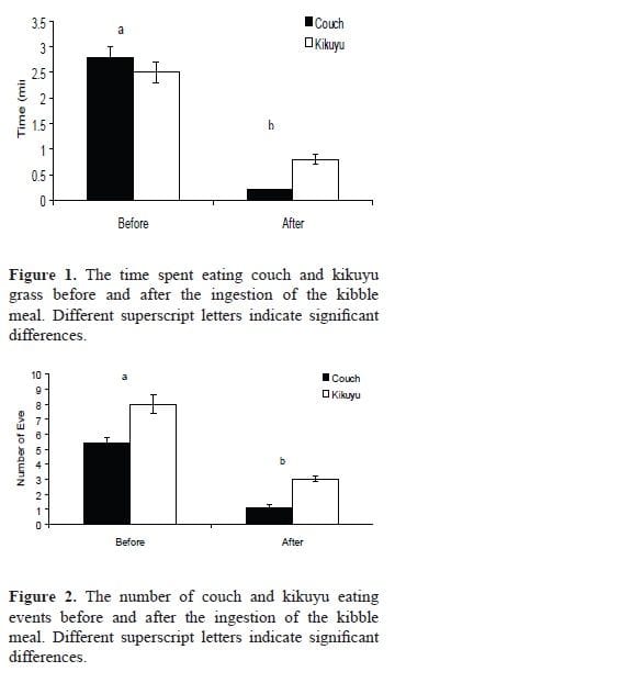 dog eating grass time taken