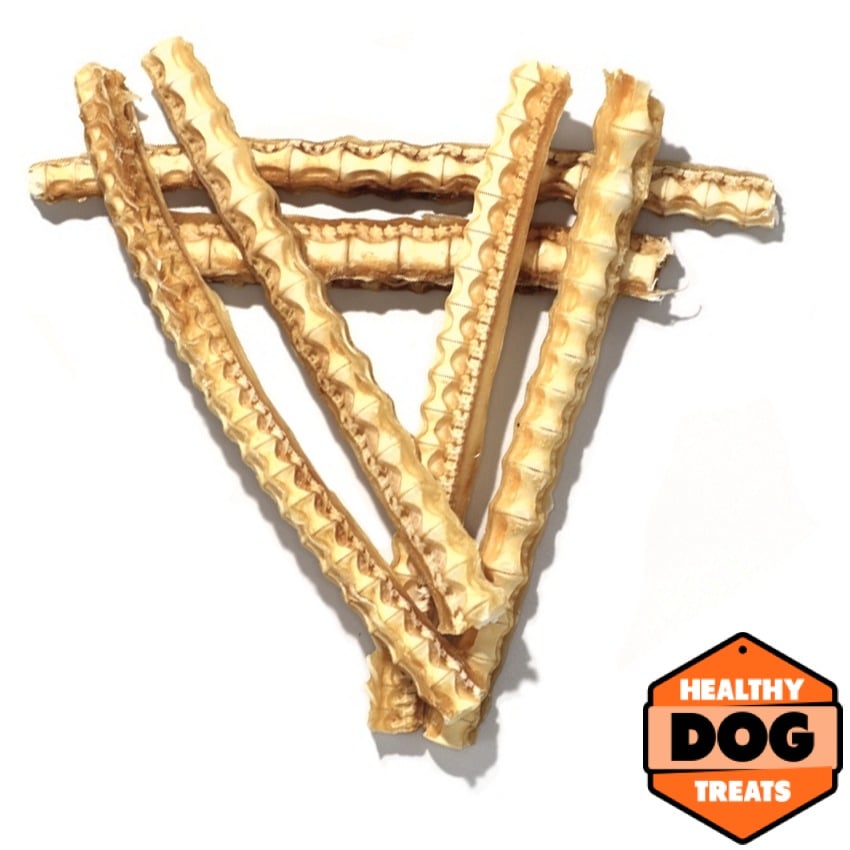 Shark Cartilage - Image 2