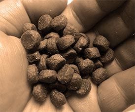hadful of dog kibble