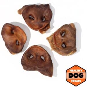 pork snouts - Bruces healthy dog treats
