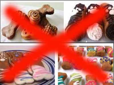 not gourmet dog treats