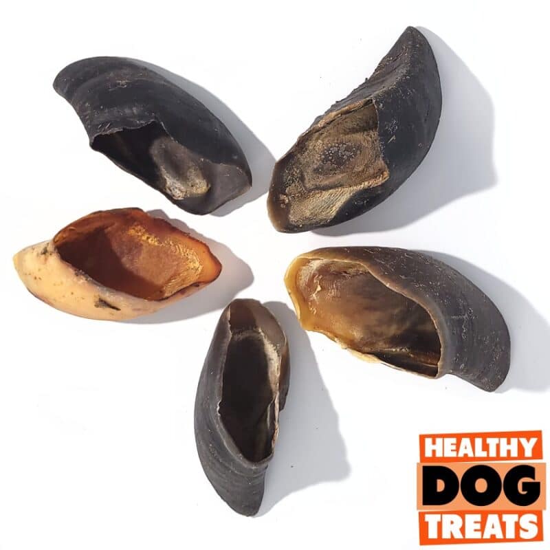 Cow Hooves Bruces Healthy Dog Treats