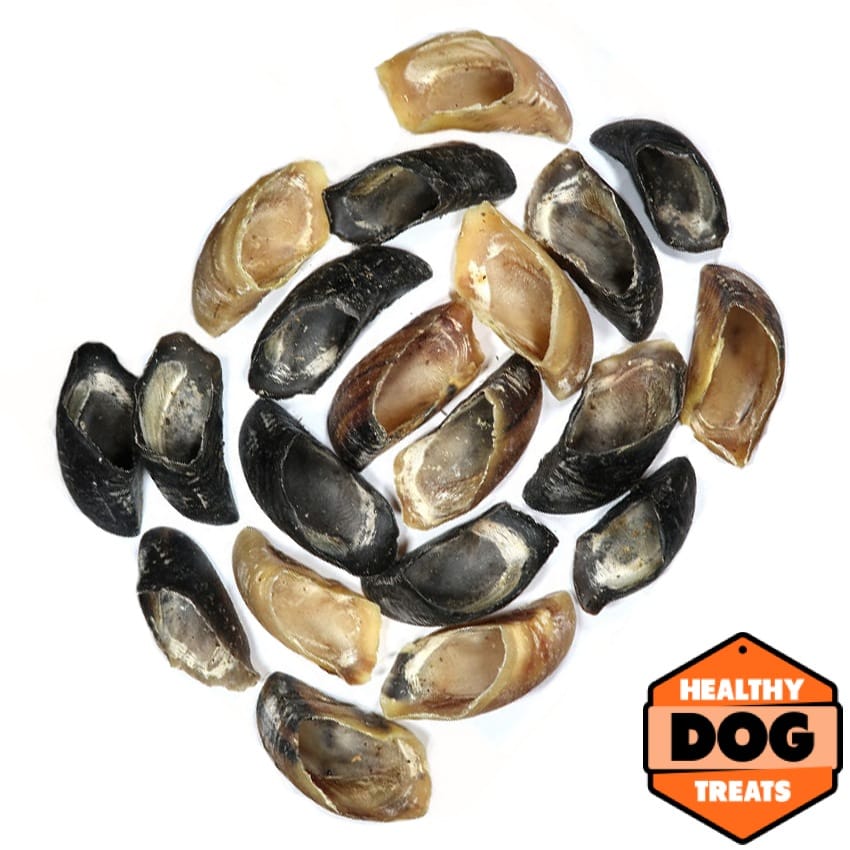 Cow Hooves - Image 3