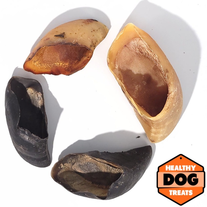 Cow Hooves - Image 2