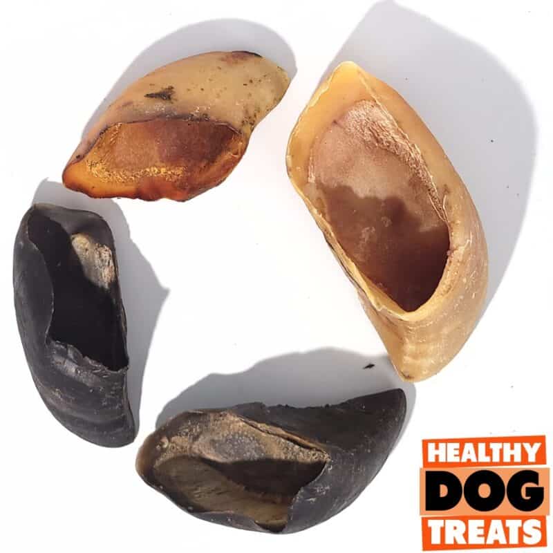 Cow Hooves Bruces Healthy Dog Treats