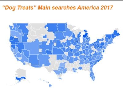 dog-treats-main-American-metro-searches-2017