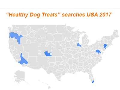 healthy-dog-treats-main-American-metro-searches-2017