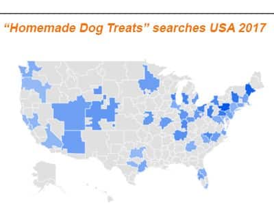 homemade-dog-treats-main-American-metro-searches-2017