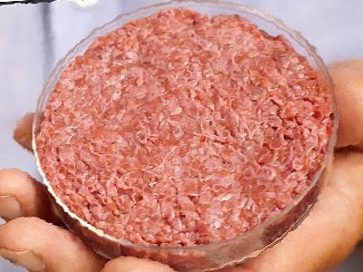 lab-grown-fake-meat