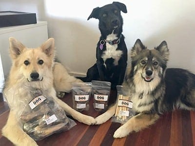 super dogs Pepper, Archer, Marley