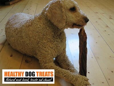 single ingredient archie dog treat