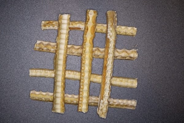 shark cartilage regular dog treat