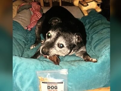 Mavis super dog !