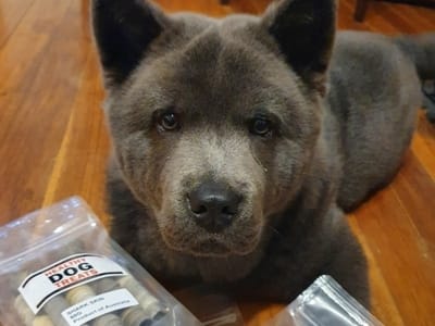Sumo Healthy Dog Treat Fan !