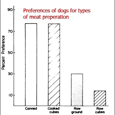 dog food preference, canned cooked raw etc
