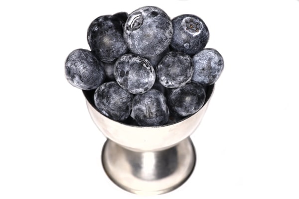 BLUEBERRY CUP for dogs
