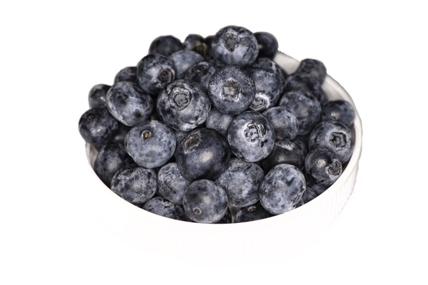 blueberry bowl for dogs