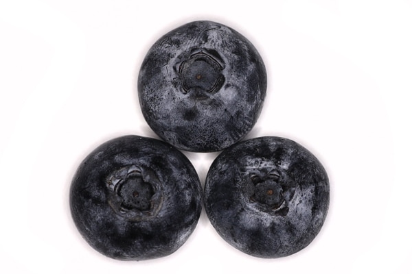 three BLUEBERRY for your dog