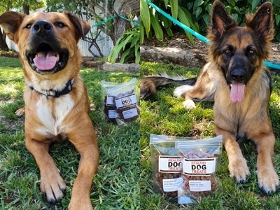 Brianna's dog pair loving our treats