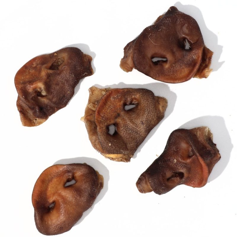 pork snout healthy dog treats