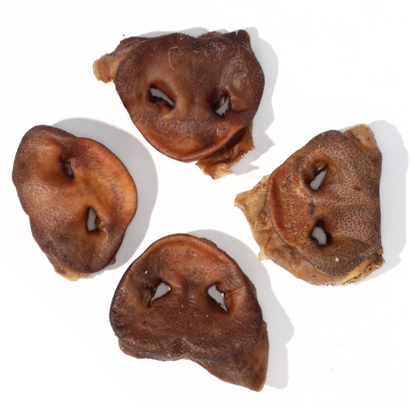 pork snout healthy dog treats