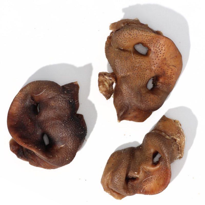 pork snout healthy dog treats