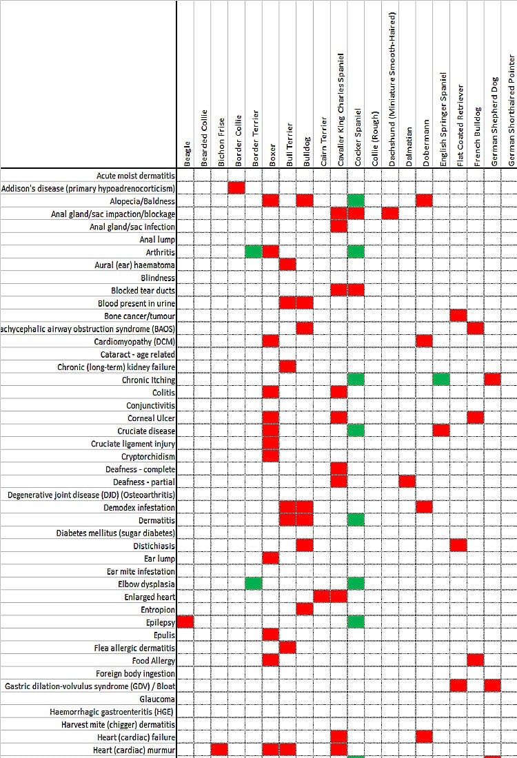 Dog illness matrix Beagle