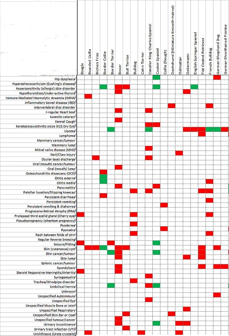 dog illness matrix beagle start