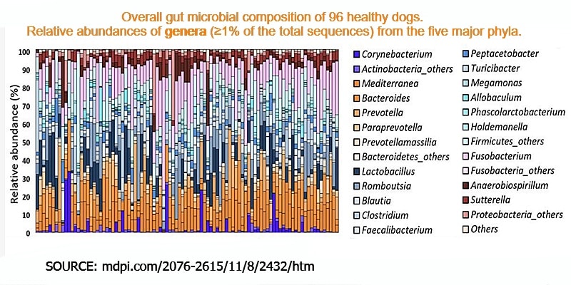 Overall gut microbial composition genera