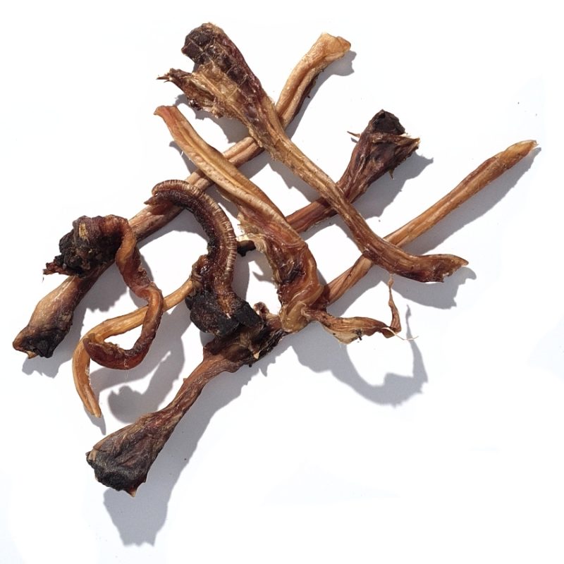 Kangaroo Tendons healthy dog treats by Bruce