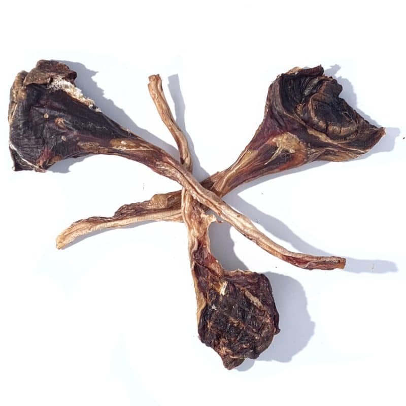 Kangaroo Tendons healthy dog treats by Bruce