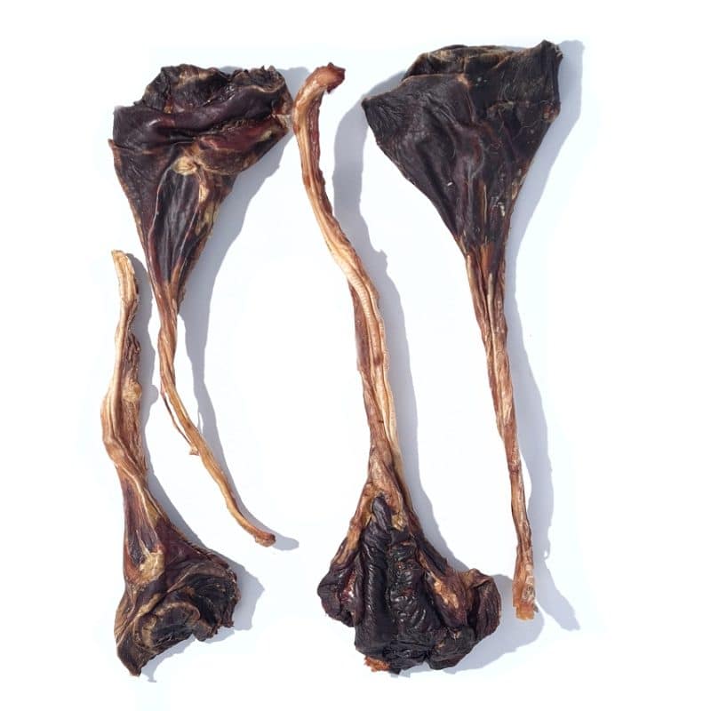 Kangaroo Tendons healthy dog treats by Bruce