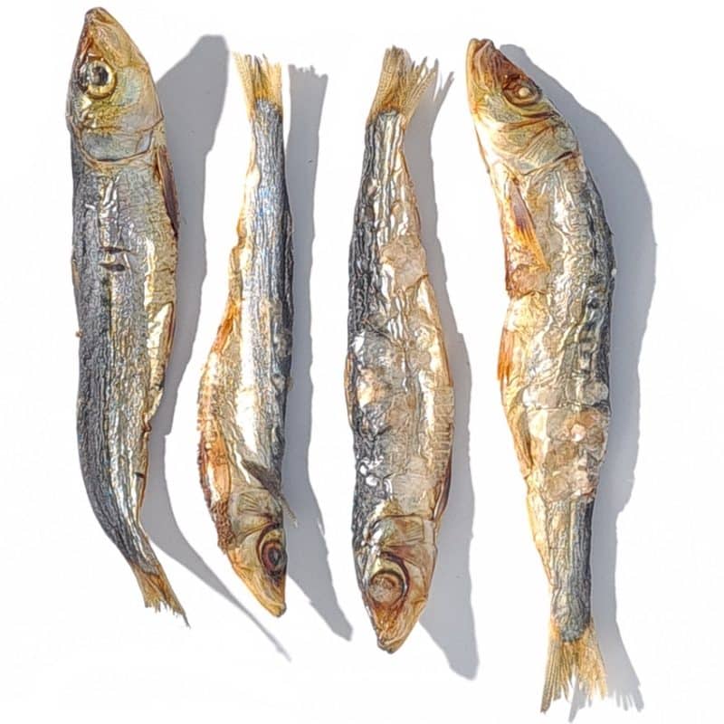 Sardines Whole healthy dog treats by Bruce