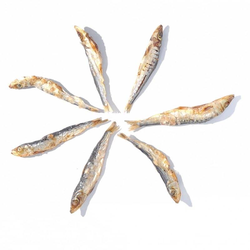 Sardines Whole healthy dog treats by Bruce