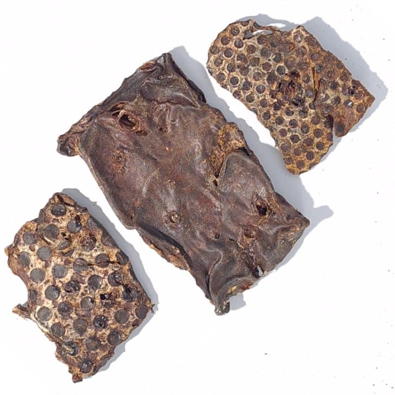 Lamb crisp healthy dog treats