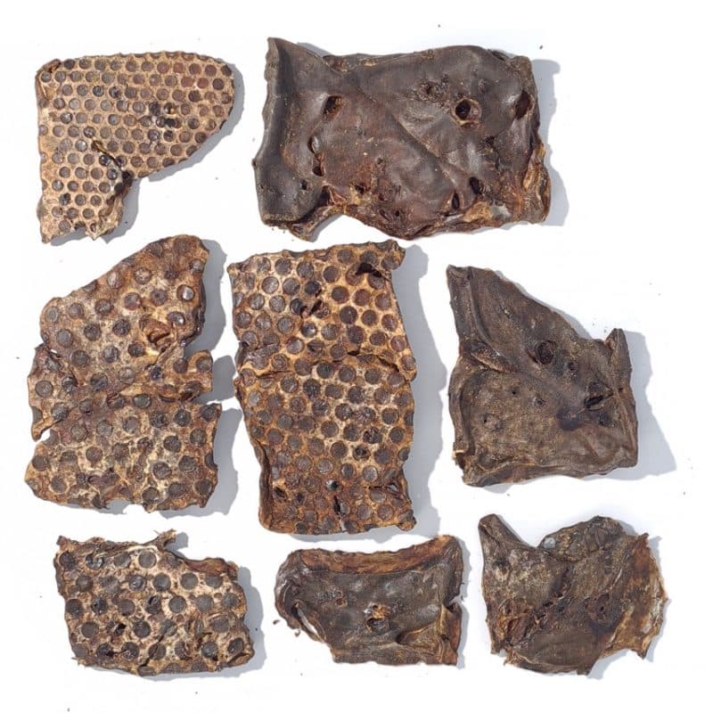 Lamb crisp healthy dog treats