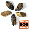 Cow hoof beef mince filled bruces healthy dog treats