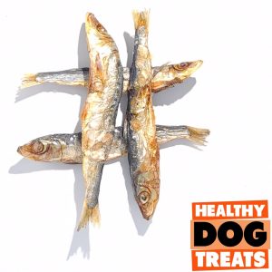 Sardine Whole - Bruce's Healthy Dog Treats