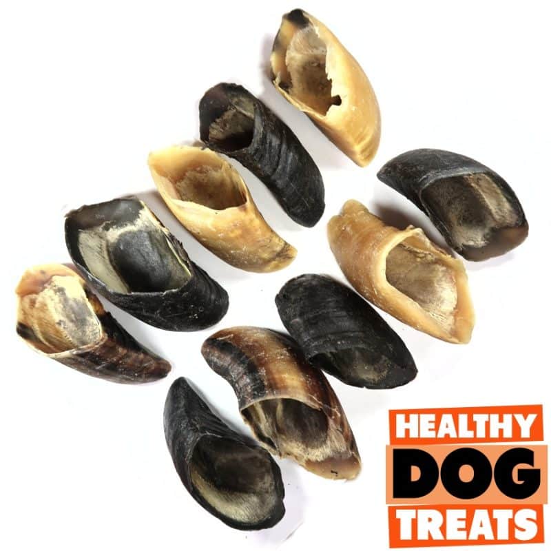 cow hooves bruces Healthy dog treats