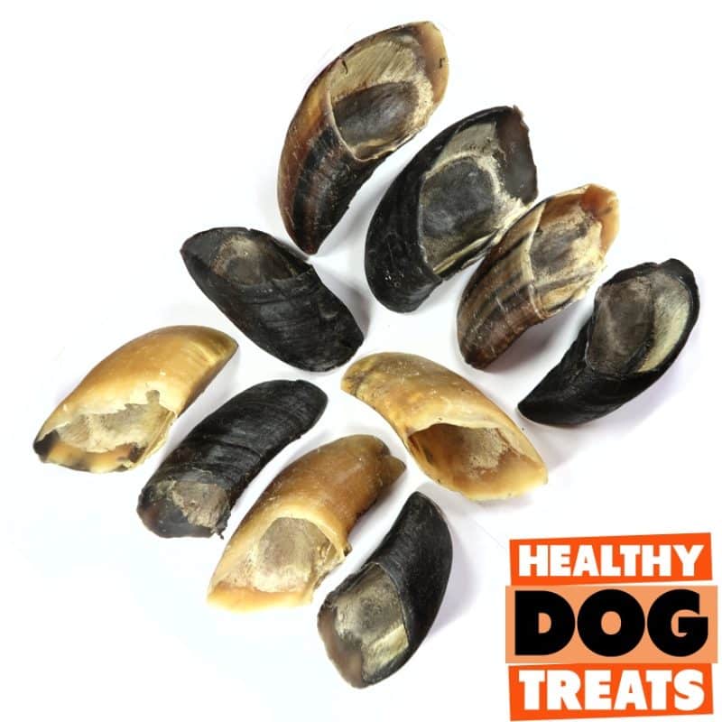 cow hooves bruces Healthy dog treats