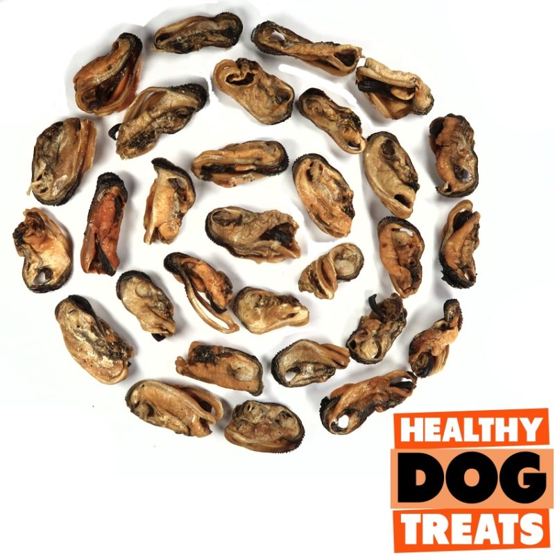 green lipped mussels - Bruce's Healthy Dog Treats