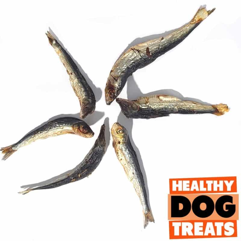 Sardine dog treats, by Bruce's Healthy dog treats