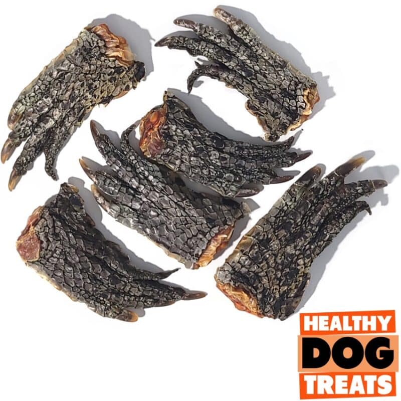 Crocodile Feet Bruce's Healthy Dog Treats Australia