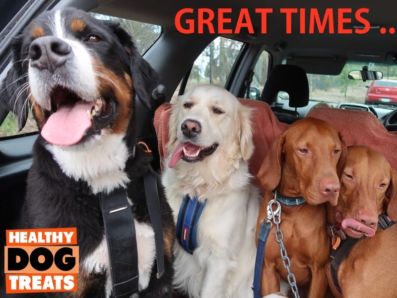 The Bruce's healthy dog treats pack