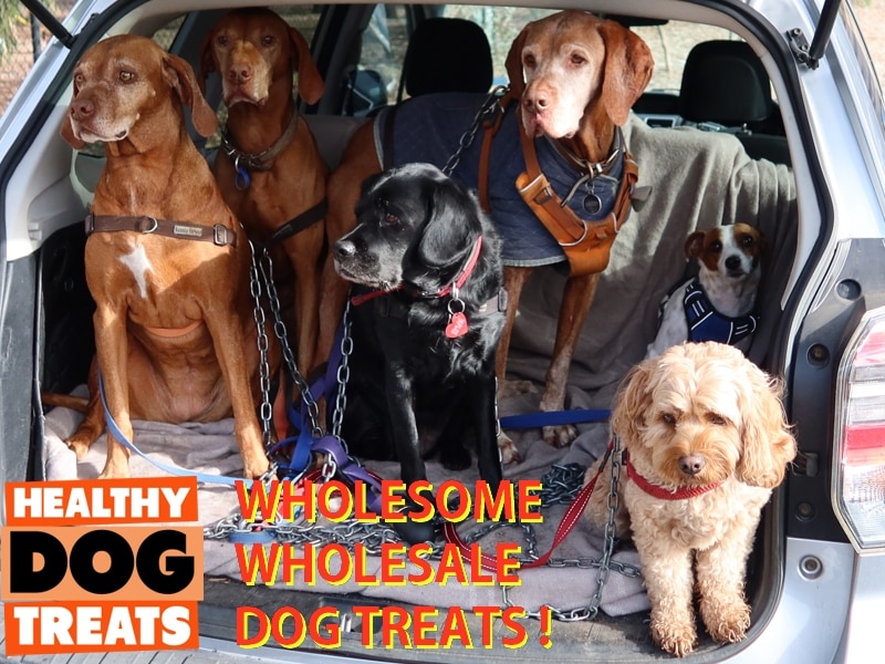 wholesale Dog treats Australia, by Bruce's Healthy Dog Treats
